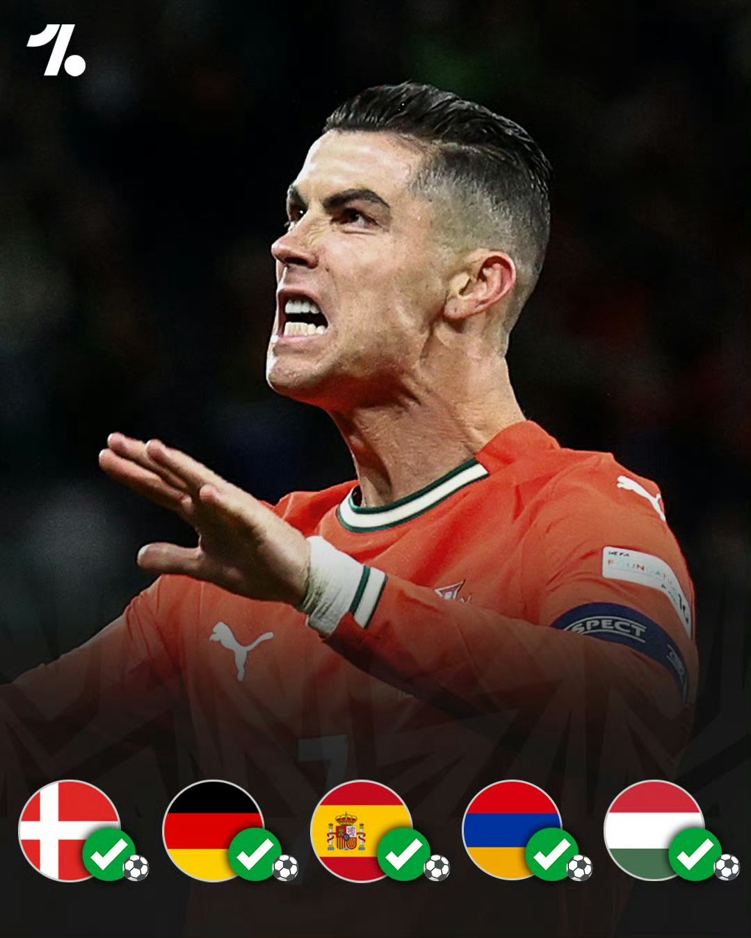 勒沃库森与弗莱堡的对决